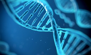 3028124-poster-p-dna