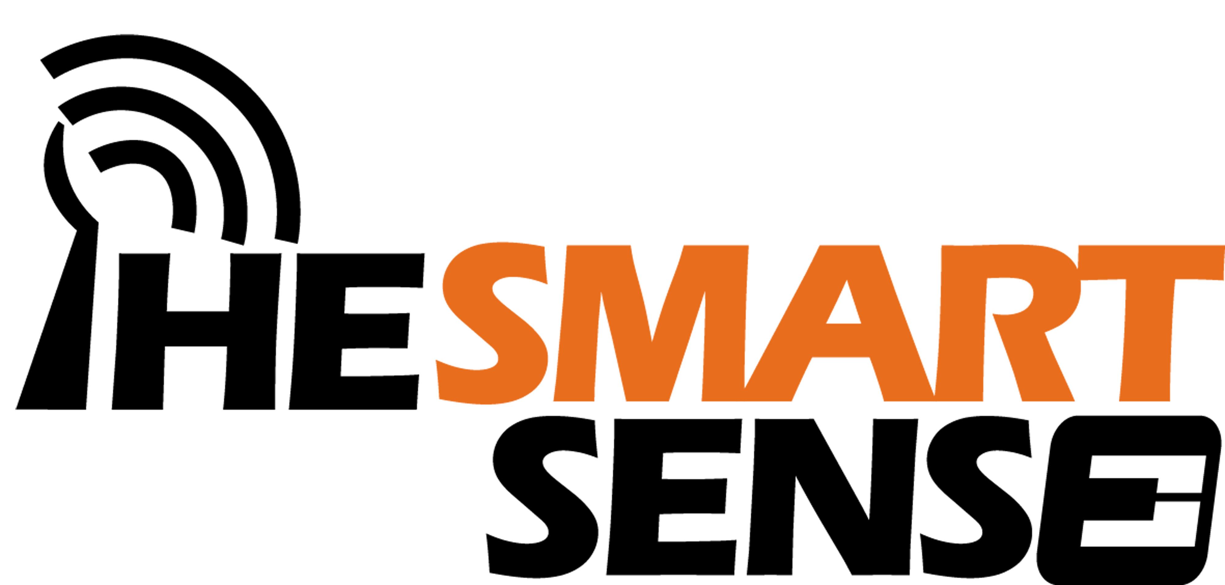 1314761325_TheSmartSense-Logo