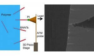 Boron nanotubes are stronger than carbon nanotubes_popup