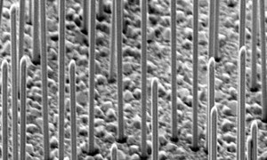 Silicon chip with integrated laser paves way for photonic chips_popup