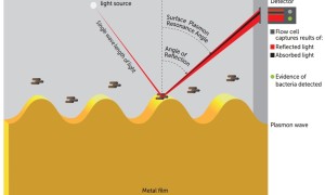 poseidon-light-sensorb-1