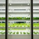 Multi-Sensor Modules Ease Indoor Agriculture Design Challenges