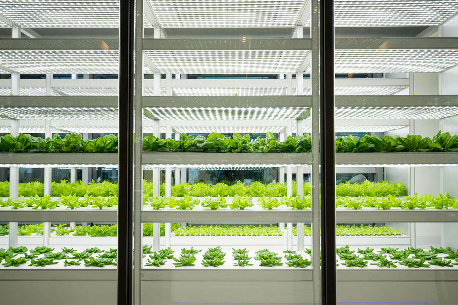 Multi-Sensor Modules Ease Indoor Agriculture Design Challenges