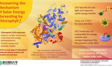 Infographic_small size