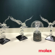 molex-edsawards-pr-350