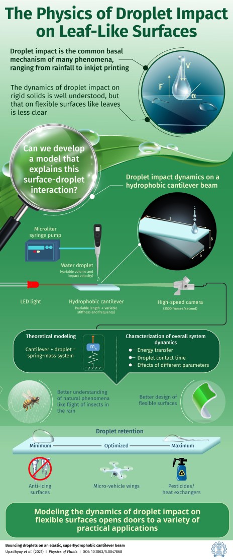 INFOGRAPHIC_Why do raindrops bounce of leaves