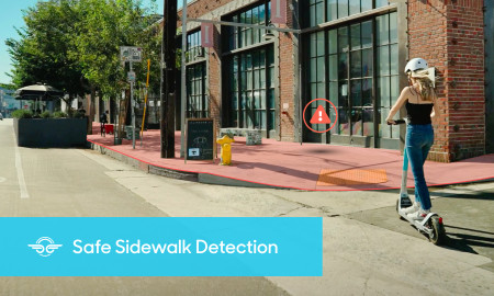 Bird_SafeSidewalkDetection