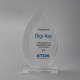 TDK Award 2020