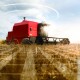 Harvest wheat tractor picking future concept.