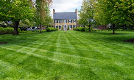Freshly cut lawn in garden in front of an ancient villa, America.
