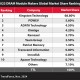 DRAM Module Makers 2024